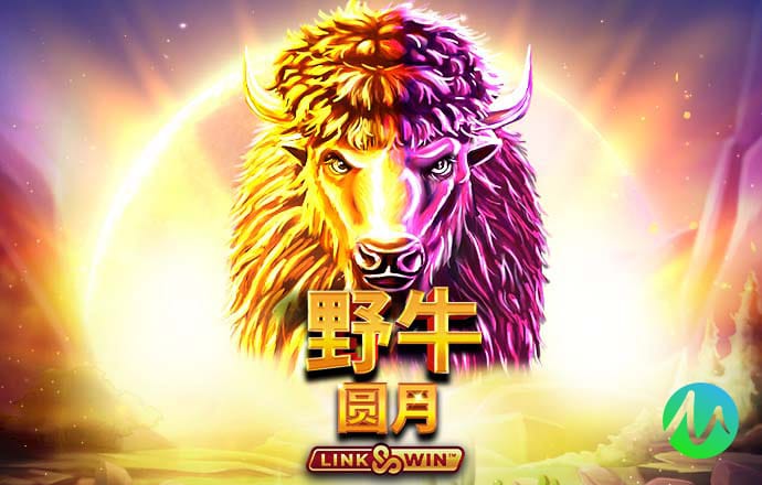 BOB体育综合APP手机客户端